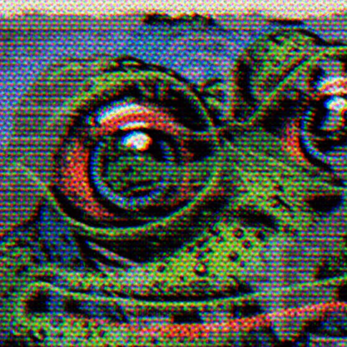 A Portrait Of An American Intellectual
