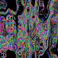 X0X559