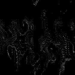 X0X538