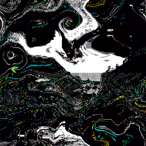 X0X558