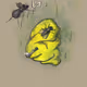 Boogerz WTF #1369