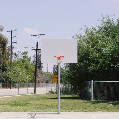 SHOOTING HOOPS Editions
