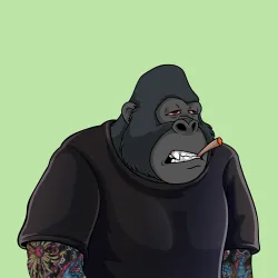 Golden Gorilla #299