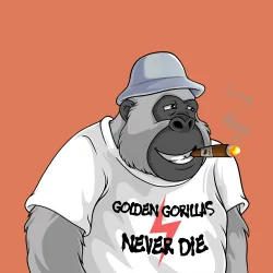 Golden Gorilla #444