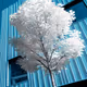 solitaIRe