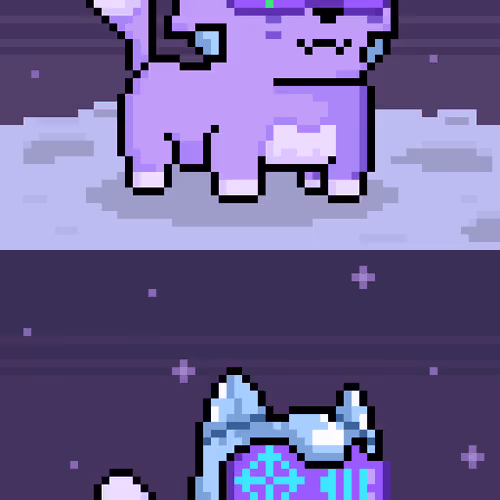 Holy Pets