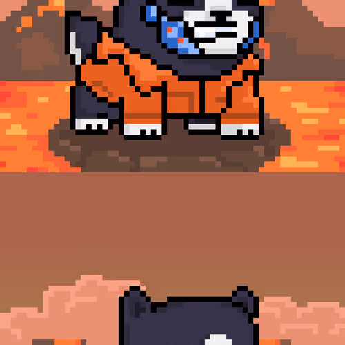Holy Pets