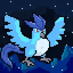 Holy Pet #3879