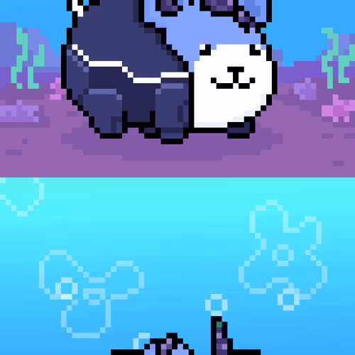 Holy Pets