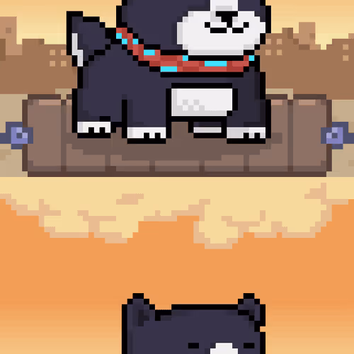Holy Pets