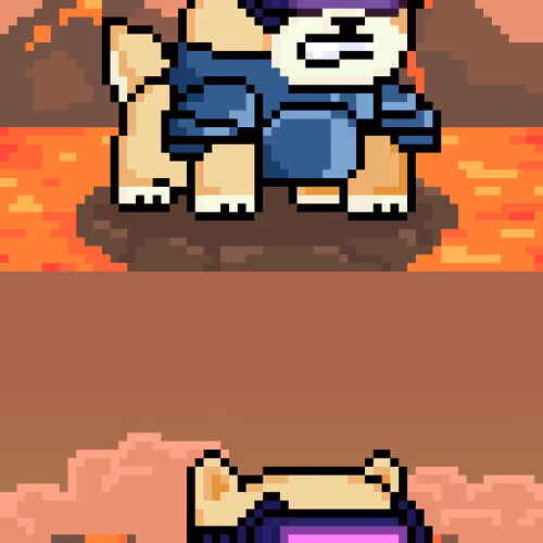 Holy Pets