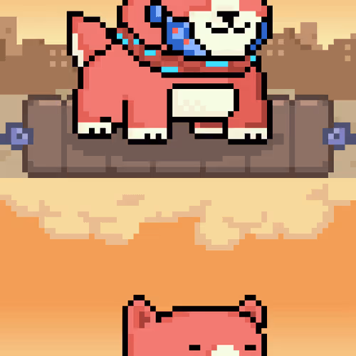 Holy Pets