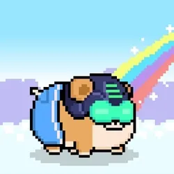 Holy Pet #4868