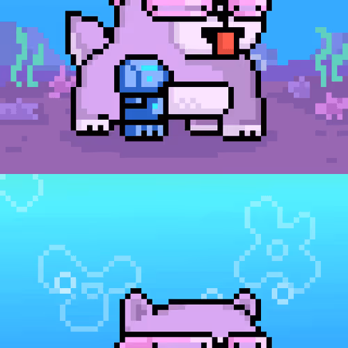 Holy Pets