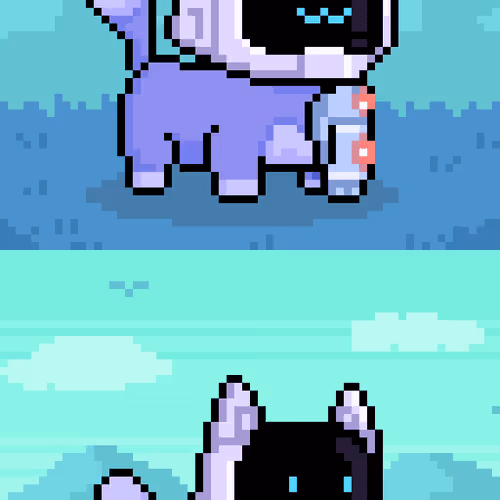 Holy Pets