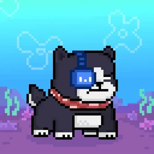 Holy Pets