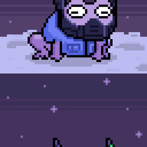 Holy Pets