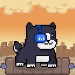 6384