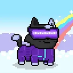 4796