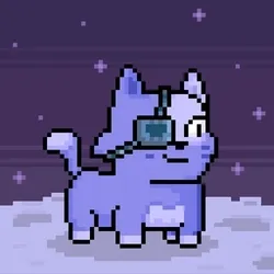 Holy Pet #6515