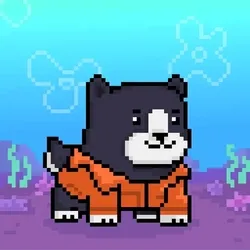 1087