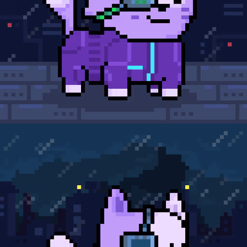 Holy Pets