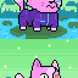 4314