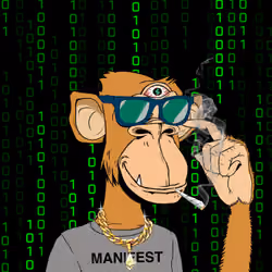 Third Eye Ape #558