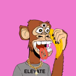 Third Eye Ape #341