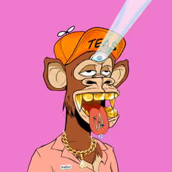 Third Eye Ape #1867