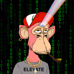 1060