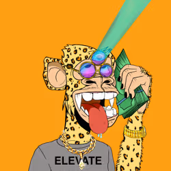 685