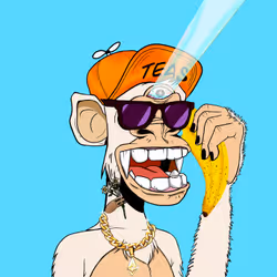 1233