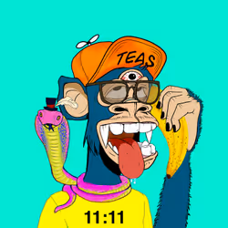 51