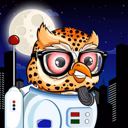Hooty Owl #662