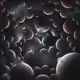 828