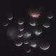 770