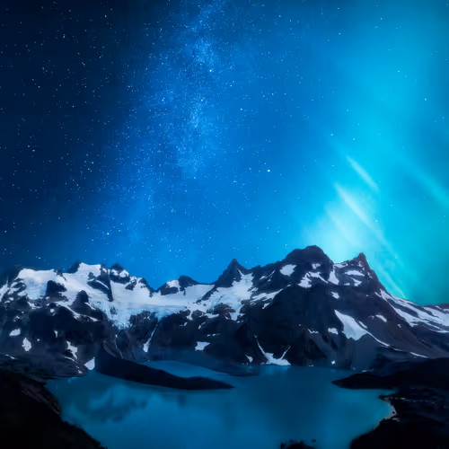 Editions by Monica Jalali