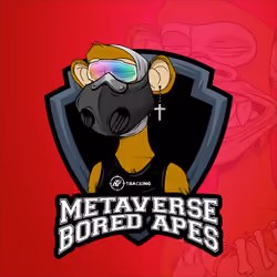 Metaverse Bored Apes