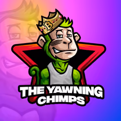 The Yawning Chimps