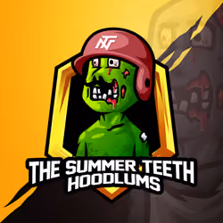 the summer teeth hoodlums