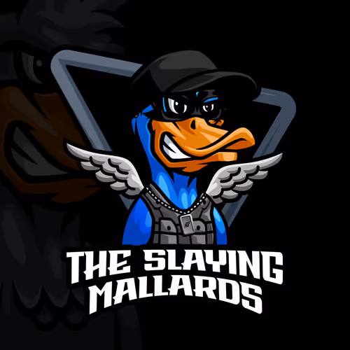 Nfteams Club