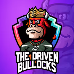 The Driven Bullocks