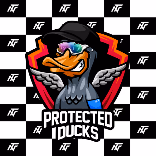 Nfteams Club