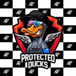 Protected Ducks