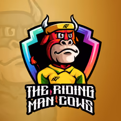 The Riding Man Cows
