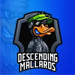 Descending Mallards