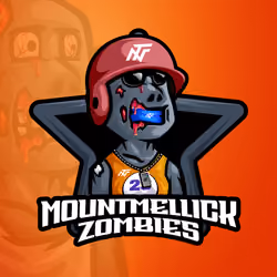 Mountmellick Zombies