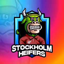 Stockholm Heifers