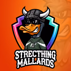 Strecthing Mallards